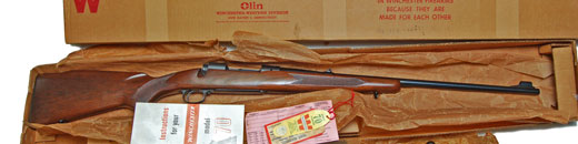 Winchester M70 Pre64 243Win